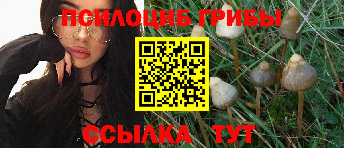 Псилоцибиновые грибы ЛСД Кашира