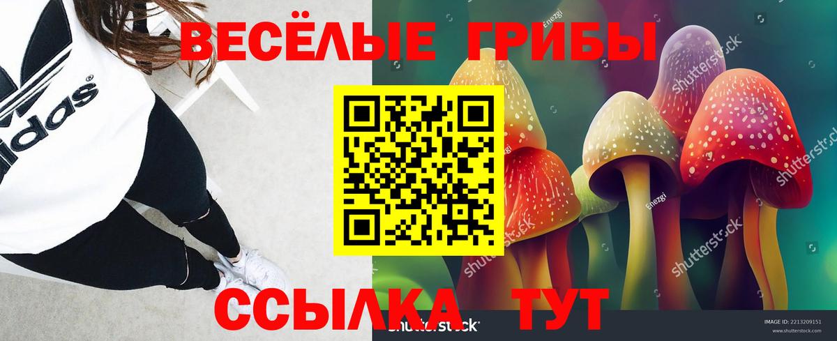 Галлюциногенные грибы Magic Shrooms  цена   Кашира  Вход с VPN 